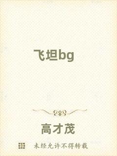 飛坦bg