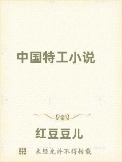 中國特工小說