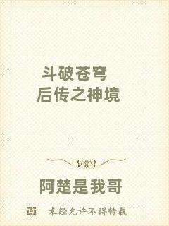 斗破蒼穹后傳之神境