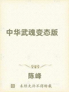 中華武魂變態(tài)版