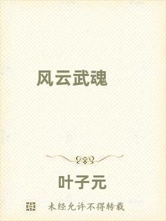風(fēng)云武魂
