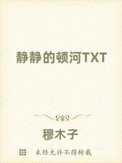 靜靜的頓河TXT