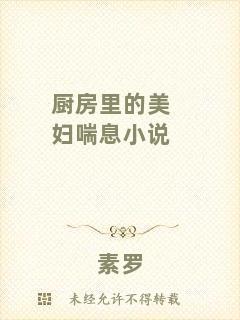 廚房里的美婦喘息小說(shuō)