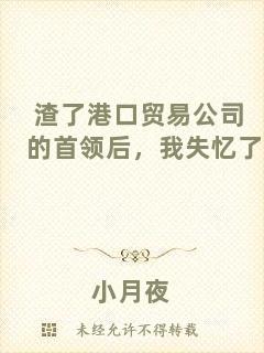 渣了港口貿(mào)易公司的首領后，我失憶了