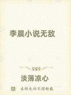 李晨小說無敵