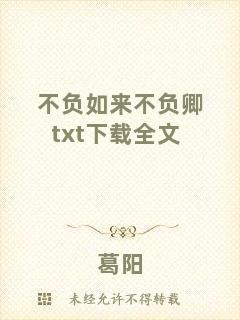 不負如來不負卿txt下載全文