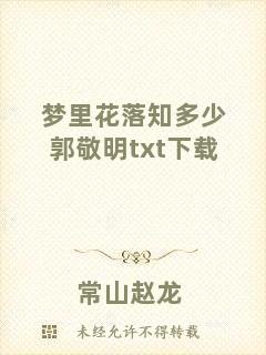 夢(mèng)里花落知多少郭敬明txt下載