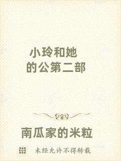 小玲和她的公第二部